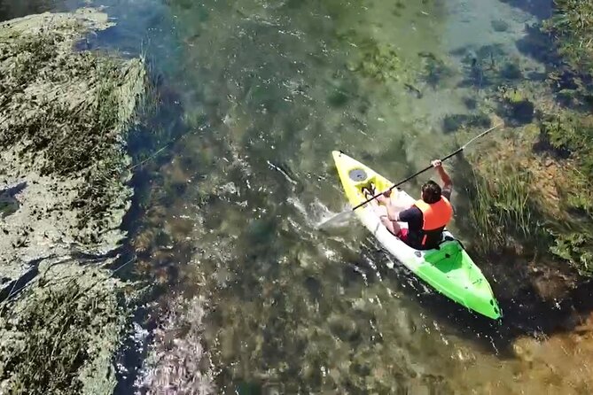 Discovery Kayak Adventure: Magical river experience near Mostar - Wildlife spotting on Bunica: how to actually enjoy it