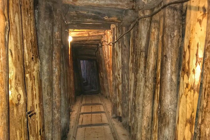 Fall of Yugoslavia, Sarajevo War Tour with Tunnel of Hope Museum and Frontlines - Gavrilo Princip Sites: How World Events Hit One City