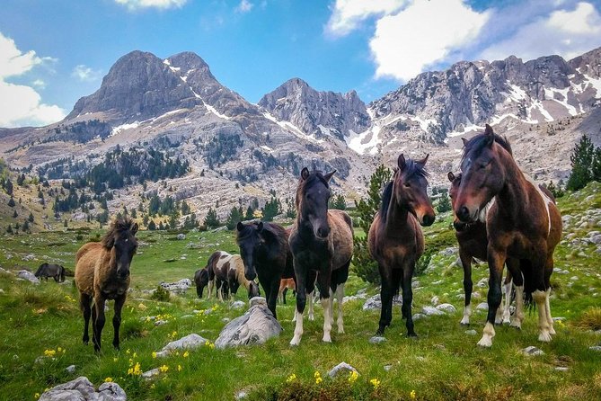 Hiking between Bosnia and Herzegovina - Key things I’d plan around