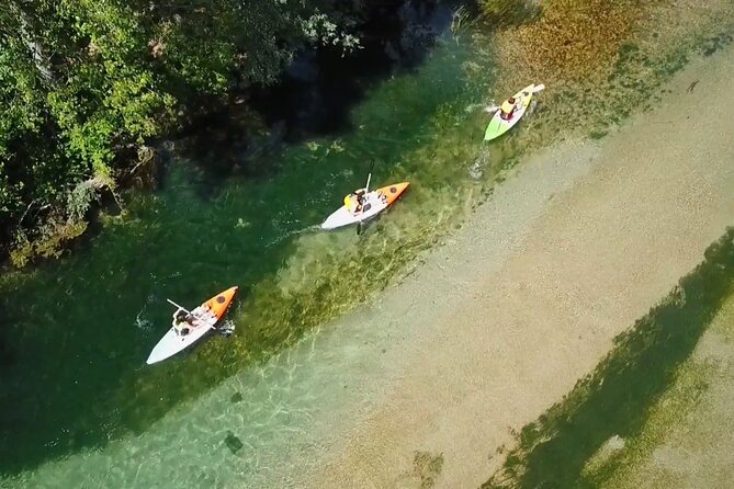 Safari kayak adventure w BBQ & Beer - Quick hits before you paddle