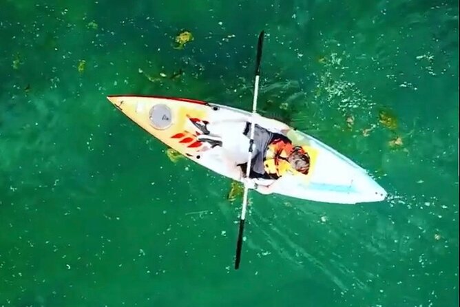 Safari kayak adventure w BBQ & Beer - What this trip feels like in real life