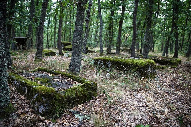 Sarajevo to/from Belgrade UNESCO Transfer Day Tour (Fees Incl.) - Šargan Eight train ride: narrow-gauge steam-era engineering, with a real-world twist